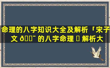 命理的八字知识大全及解析「宋子文 🐯 的八字命理 ☘ 解析大全」